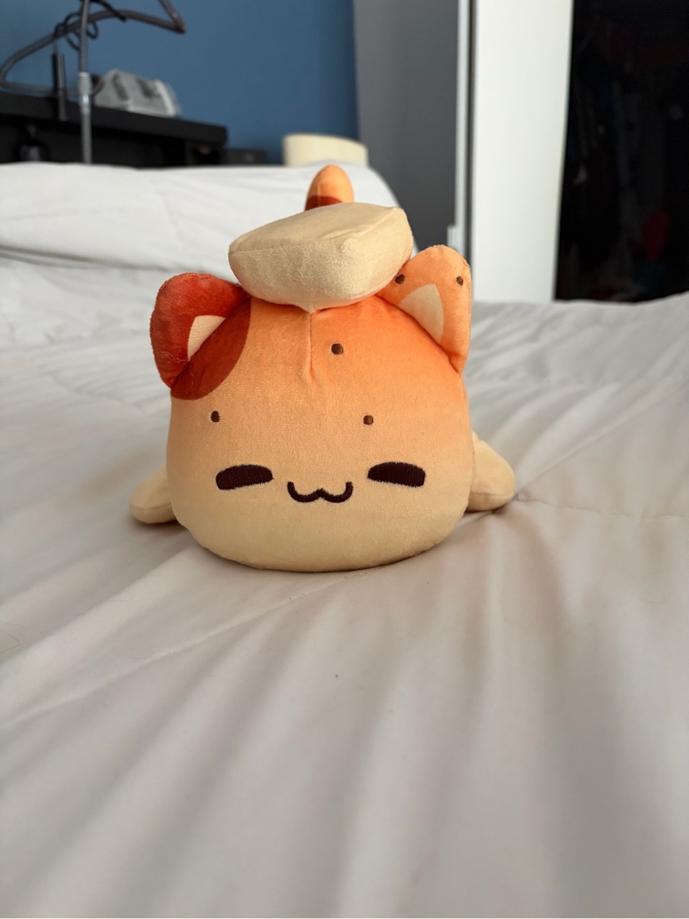Rare Aphmau cat face potato cat